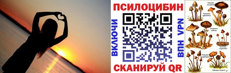 Псилоцибиновые грибы Psilocybine cubensis  Краснослободск 